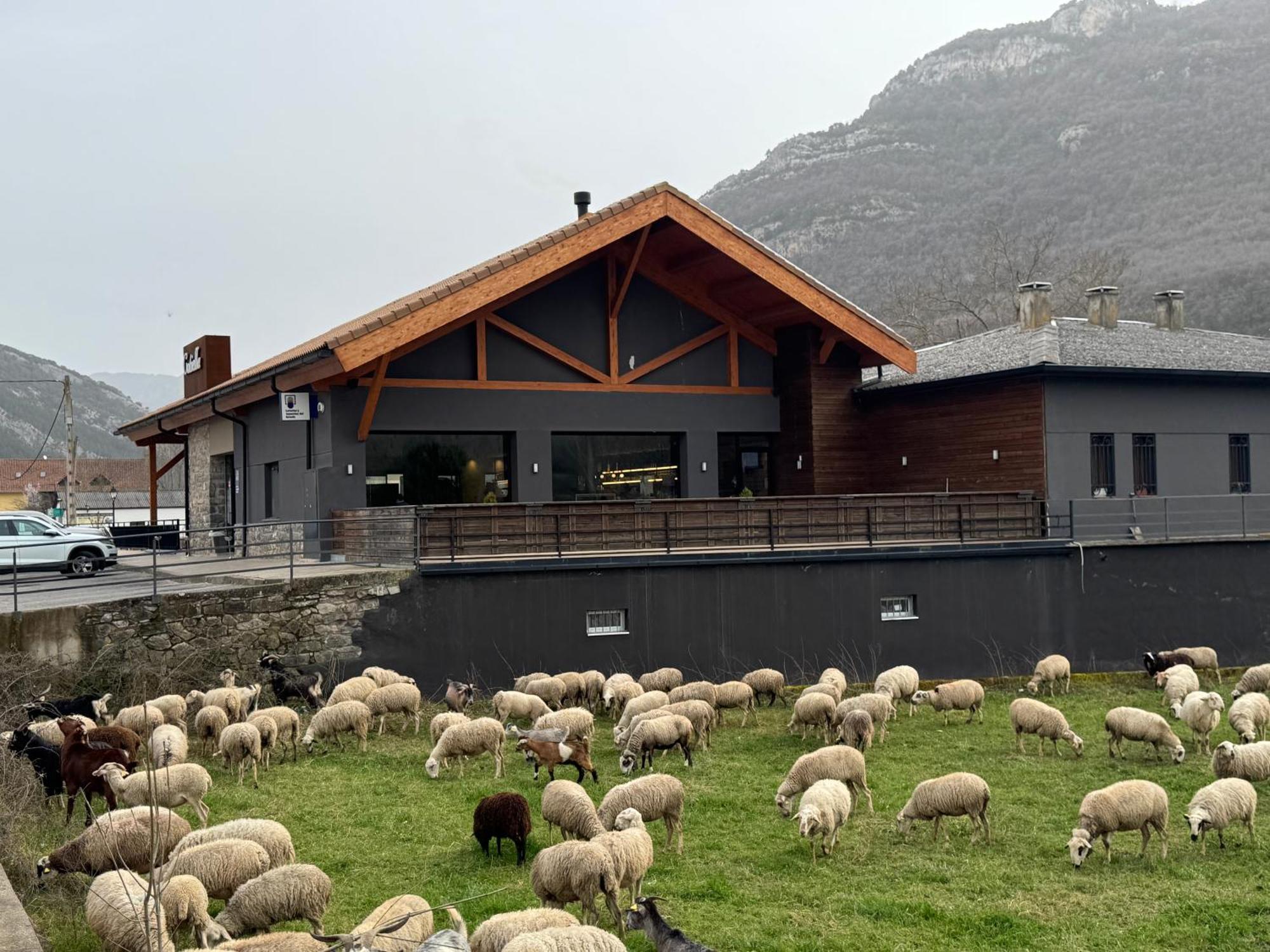 Hotel Cotiella Campo  Buitenkant foto